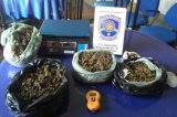 Três pessoas são presas com 2,2 kg de maconha em Santa Maria da Boa Vista