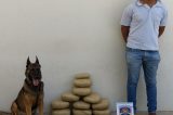 Policia encontra maconha empacotada dentro de van pronta para consumo