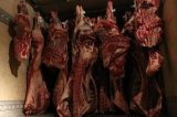 Mais de três toneladas de carne irregular são apreendidas na BR-324