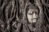 A escultura de 700 anos que está sendo ‘engolida’ por árvores