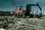 Operação Mata Adentro fiscaliza desmatamento em 27 cidades baianas