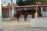 Desabafo de um cidadão de Uauá