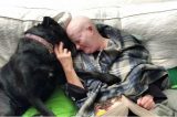 Mulher e sua cachorra descobrem câncer de mama e lutam juntas pela vida