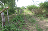 Médico invade área de fundo de pasto em Barra (BA)