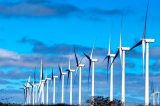 Energia eólica gerada em Pernambuco já abastece 60% do Nordeste