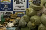 Polícia encontra maconha dentro de sacolas plásticas em Petrolina