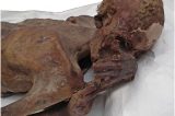 A descoberta em duas múmias de 5 mil anos que revoluciona o que sabemos sobre o Egito Antigo