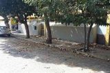 Petrolina PE – Cracolândia ao lado da rodoviária: um caso cada vez mais sem solução