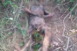 Corpo é encontrado na caatinga em remanso