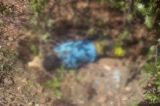 Homem é morto a tiros em Dormentes