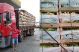 Projeto Formoso: Greve dos caminhoneiros já causa prejuízos de mais de 3 milhões ao maior produtor de banana do país