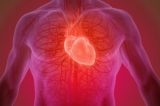 Cientistas criam curativo que pulsa para tratar sequelas de corações infartados