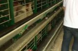 Paralisação dos caminhoneiros: setor produtivo lamenta perdas e morte de animais