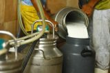 Greve do caminhoneiros: falta de distribuição afeta setor produtivo