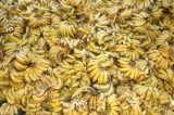 Efeito da greve dos caminhoneiros obriga produtores do Projeto Formoso jogarem Bananas fora Efeito da greve dos caminhoneiros obriga produtores do Projeto Formoso jogarem Bananas fora