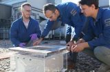 A caixa revolucionária que coleta água do ar no deserto