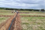 Novo sistema de irrigação marca avanço na redução do uso de água no campus Petrolina Zona Rural do IF Sertão-PE