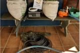 Cabrobó: Policia erradica plantação de maconha Cabrobó: Policia erradica plantação de maconha