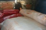 PRF apreende ambulância transportando 200 kg colorau no Agreste