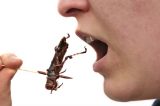Cansada de suas alergias alimentares, jovem começa a comer insetos