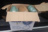 Policial Civil prende homem em van com destino a Casa Nova com maconha
