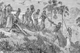 Navios portugueses e brasileiros fizeram mais de 9 mil viagens com escravos da África para o Brasil