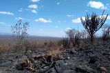 Sento Sé: Incêndio causa grande estrago no Parque de Boqueirão