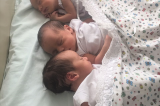 Trigêmeos nascem no Hospital Dom Malan/IMIP de Petrolina e Voluntariado faz campanha para ajudar a família