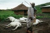 A misteriosa nuvem que matou milhares de pessoas e animais em Camarões