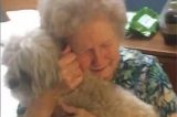 Vídeo: família surpreende avó deprimida com novo cãozinho e comove internet