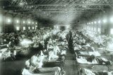 Gripe espanhola: 100 anos da epidemia mais letal da história recente