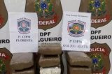 Operação prende quatro pessoas em Floresta com mais de 10 quilos de maconha 
