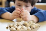 Alergia a amendoim pode ter tratamento eficaz, indica estudo