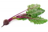 Quatro alimentos que aguçam o cérebro (e outros que põem tudo a perder)