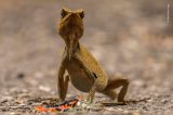 Fotografia, a melhor aliada da natureza