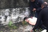 Suspeito de matar ex-mulher a facadas é encontrado por parentes da vítima e preso
