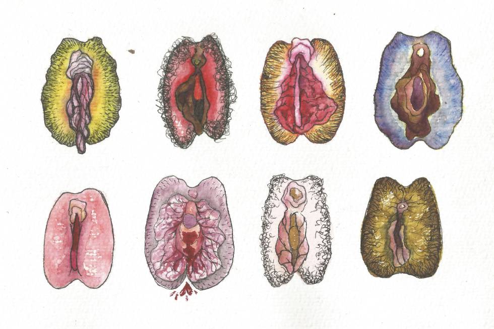 Anatomia Da Vagina 101 - Lunette Portugal