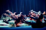 Espetáculos coreografados e oficinas abrirão Mostra 14 de Dança, que começa nesta terça-feira (11)