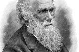 Sobre a vida e obra de Charles Darwin, por Felipe A. P. L. Costa