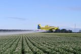 Governo brasileiro liberou registros de agrotóxicos de alta toxidade