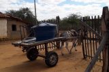 Pequenos agricultores terão auxílio emergencial de R$ 600