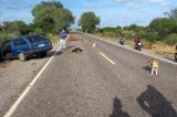 Acidente falta em Petrolina