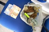 Santa Maria da Boa Vista: Policia Militar prende homem com maconha 