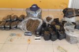 Guarda Civil apreende 60 quilos de maconha