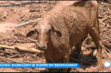 Desastre em barragem: Globo derruba futebol em Minas; Record antecipa Cidade Alerta na rede