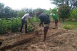 Projeto do IF Sertão-PE promove instalação de horta medicinal orgânica na Associação Ágape
