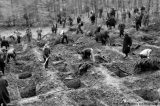 Floresta alemã revela detalhes sobre massacre nazista