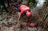 Erosão em reservatório após chuva faz Vale acionar plano em barragem de MG