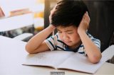 O que um estudo com gêmeos revela sobre o papel da genética no desempenho escolar