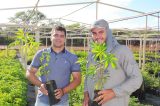 Viveiro da Agrovale vai doar 72 mil mudas da Caatinga em 2019; doações começaram nesta quarta-feira (13)